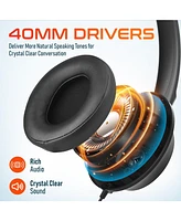 Delton 42Y Usb Headset with Mic, Hi-Fi Stereo Sound, Over-Ear Computer Headset with Noise Cancelling Microphone, In-Line Controls, Compatible with Pc,