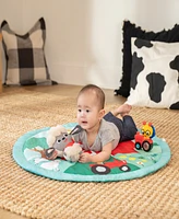 Baby Einstein Infant Farm Explorers Happy Harvest Touch Feel Activity Gym
