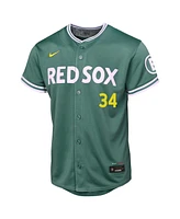 Nike Big Boys and Girls David Ortiz Green Boston Red Sox 2025 City Connect Limited Retired Player Jersey