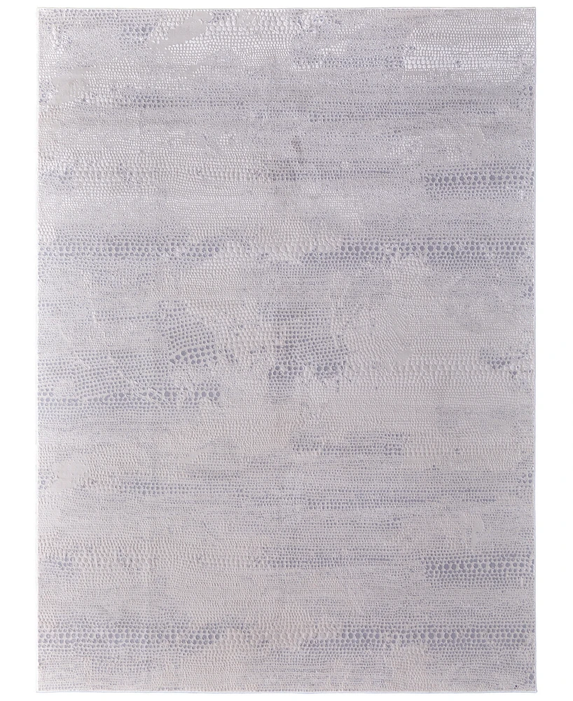 Feizy Prasad 39N8F 8'x11' Area Rug