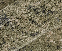 Feizy Skyview 39QCF 2'6"x7'3" Runner Area Rug