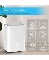 Zafro 80 Pint Dehumidifier for 8000 Sq. Ft., Powerful & Quiet Moisture Removal, Energy Efficient – Ideal for Basement, Bedroom, Bathroom, Home