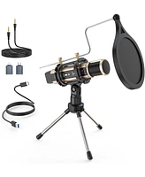 ZealSound Studio Condenser Microphone with Stand, Built-in Sound Card, Echo Recording for Phone, Pc, YouTube, Karaoke, Live Stream (Gold)
