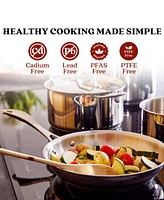 Alva Chef 11" Stainless Steel Frying Pan - Non-Toxic Pfas/Pfoa/Ptfe Free, Stay-Cool Handle - Induction Ready - Oven & Dishwasher Safe