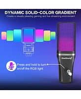 ZealSound Gaming Usb Microphone for Pc,Rgb Condenser Computer Mic w/ Tripod Stand,Gain Control for Gaming,Streaming,Podcasting,Asmr,Cardioid Mic Kit