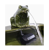 Fountain Bird Bath with Frog Design and Solar Pump for Outdoor Garden Decor
