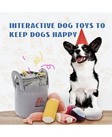 Nocciola 10 Pcs Seafood Boil Dog Toy Set with a Pot,Christmas gift,Squeaky Crinkle Plush Puppy Toy,Interactive Toys,Hide Toys for Small to Medium Dogs