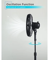 Black+Decker 16-Inch Pedestal Fan, Oscillating Fan for Home and Office