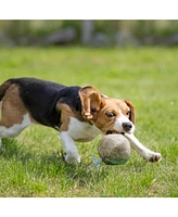 Nocciola Wobble Giggle Ball for Dogs,Christmas gift,Interactive Dog Toys for Boredom, Squeaky Ball Dog Toys
