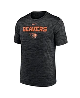 Nike Men's Black Oregon State Beavers Velocity Performance T-Shirt