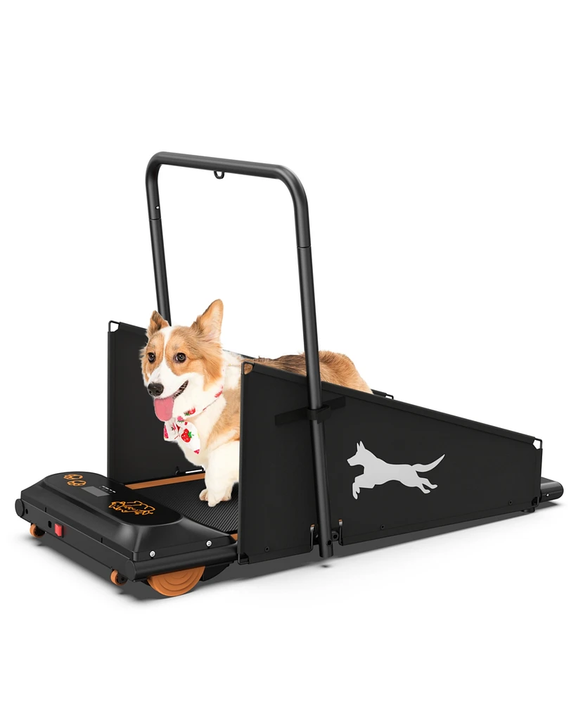 Streamdale Furniture Dog Treadmill - Small & Medium Dogs - Run & Walk