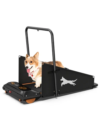 Streamdale Furniture Dog Treadmill - Small & Medium Dogs - Run & Walk