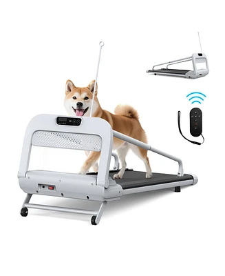 Smart Pet Treadmill, Adjustable Speed