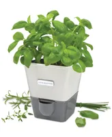 Cole & Mason Self-Watering Potted Herb Keeper