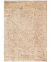 Closeout Loloi Anastasia Af 15 Ivory Light Gold Area Rugs