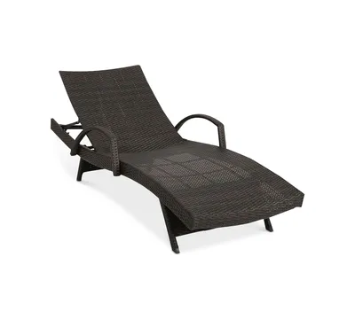 Aldin Outdoor Adjustable Lounge with Arms