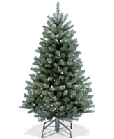 National Tree Company 4.5' North Valley Blue Spruce Tree With 300 Clear Lights