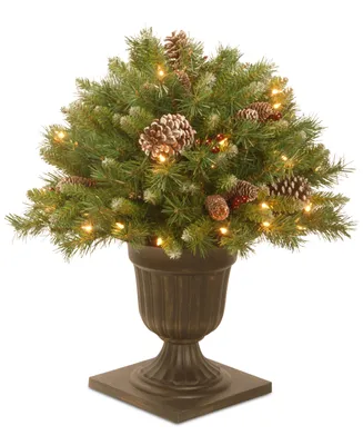National Tree Company 24" Frosted Berry Porch Bush In A Dark Bronze Urn With 50 Clear Lights