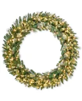 National Tree Company 60" Carolina Pine Wreath with 300 Clear Lights