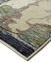 Oriental Weavers Evolution Del 1'10" x 3'2" Area Rug