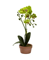 Nearly Natural 4-Pc. Phalaenopsis Orchid Set with Clay Vases