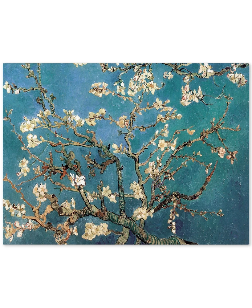Vincent van Gogh 'Almond Blossoms' Canvas Art