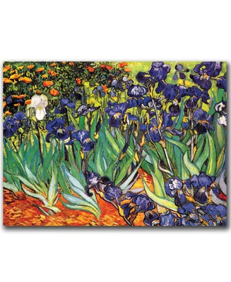 Vincent van Gogh 'Irises at Saint-Remy' Canvas Art