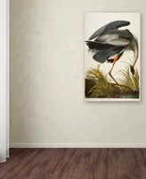 John James Audubon 'Great Blue Heron' Canvas Art