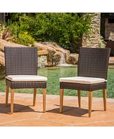 Carlsbad Outdoor Water Resistant Chairs (Set of 2)