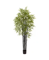 Nearly Natural 6' Indoor/Outdoor Uv-Resistant Artificial Black Bamboo Tree