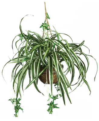 Nearly Natural Spider Artificial Plant Hanging Basket