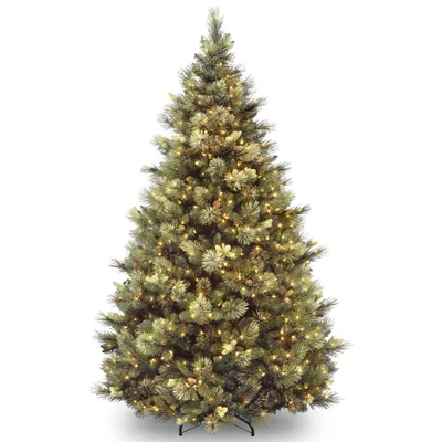 National Tree 9' Carolina Pine Hinged Tree with Flocked Cones & 1200 Clear Lights