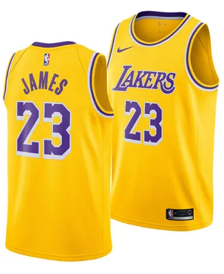 Nike Men's LeBron James Los Angeles Lakers Icon Swingman Jersey