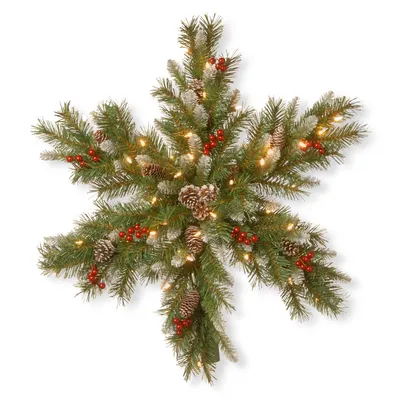 National Tree Company 32" Frosted Berry Snowflakes with 50 Warm White Battery Operated Led Lights with Timer