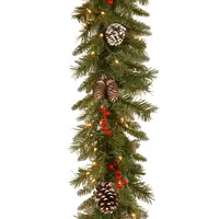 National Tree Company 9' x 10" Frosted Berry Garland with 100 Clear Lights