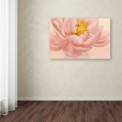 Cora Niele 'Pink Peony' Canvas Art, 12" x 19"