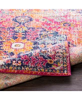 Livabliss Harput Hap-1062 2'7" x 7'3" Area Rug