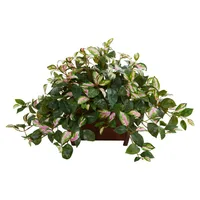 Nearly Natural Hoya Artificial Plant in Decorative Planter