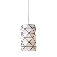 Tetra 1-Light Pendant with Chrome Hardware