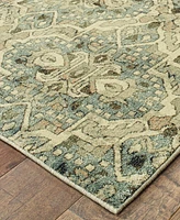 Oriental Weavers Raleigh 4927 7'10" x 10'10" Area Rug