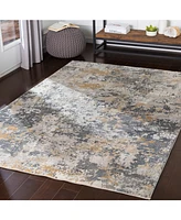 Livabliss Aisha Ais-2303 Charcoal 9'3" x 12'3" Area Rug