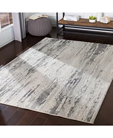 Livabliss Aisha Ais-2304 Medium Gray 9'3" x 12'3" Area Rug
