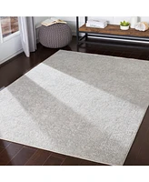 Livabliss Aisha Ais-2306 Light Gray 9'3" x 12'3" Area Rug