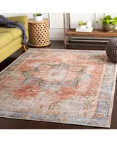 Livabliss Amelie Aml-2309 Rose Machine-Washable 2' x 3' Area Rug