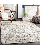 Livabliss Quatro Qua-2302 Silver Gray 5'3" x 7'3" Area Rug