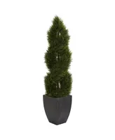 Nearly Natural 5' Double Pond Cypress Spiral Topiary Artificial Tree in Black Wash Planter Uv Resistant