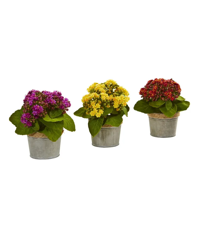 Nearly Natural Kalanchoe Artificial Arrangements, Set of 3