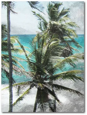 Courtside Market Coconut Tree Gallery-Wrapped Canvas Wall Art - 16" x 20"