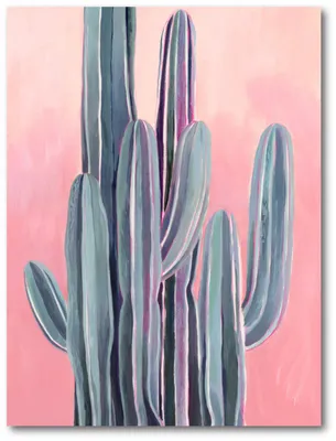 Courtside Market Desert Dawn Ii Gallery-Wrapped Canvas Wall Art - 18" x 24"