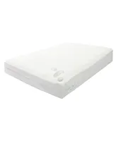 Payton Ultra Soft-Premium Zippered Mattress Protector Cover, Fits Mattress 10 to 14-Inch